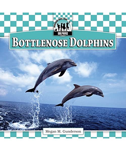 Bottlenose Dolphins