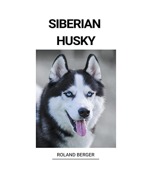 Siberian Husky