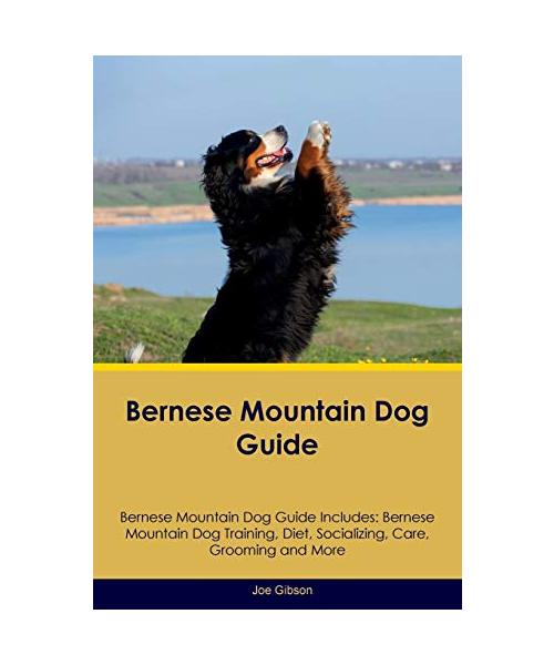 Bernese Mountain Dog Guide Bernese Mountain Dog Guide Includes: Bernese Mountain Dog Training, Diet, Socializing, Care, Grooming, Breeding and More