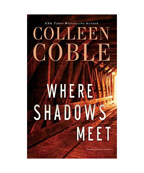 Where Shadows Meet: A Romantic Suspense Novel