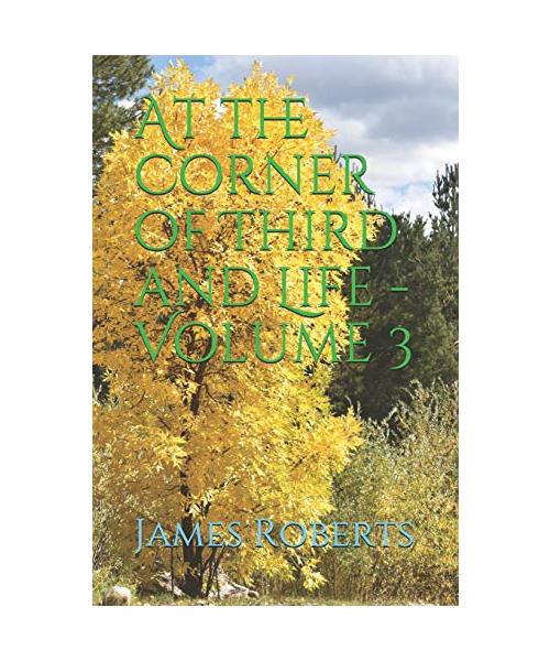 At the Corner of Third and Life - Volume 3