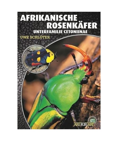 Afrikanische Rosenkäfer