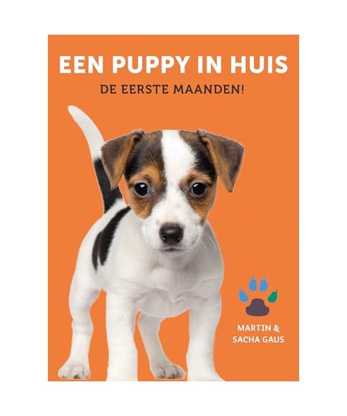 Een puppy in huis: de eerste maanden!