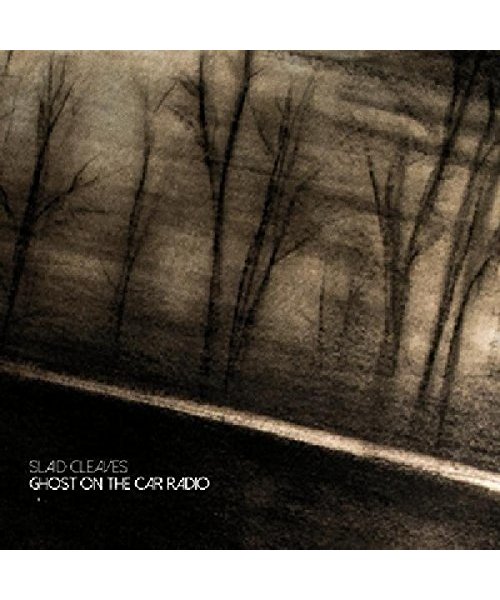 Ghost on the Car Radio [Vinyl LP]