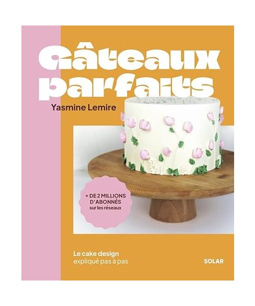 Gâteaux parfaits: Le cake design expliqué pas à pas