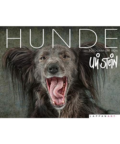 Hunde