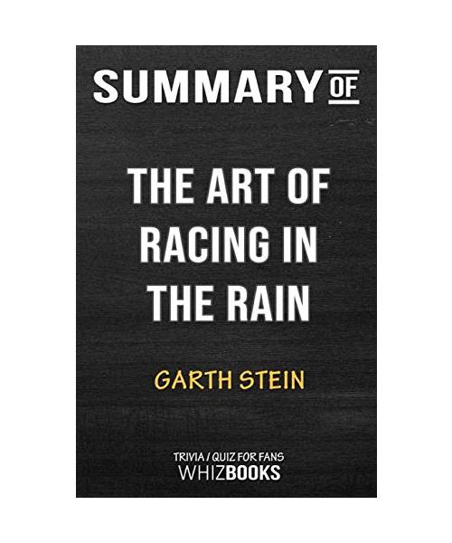 Summary of The Art of Racing in the Rain