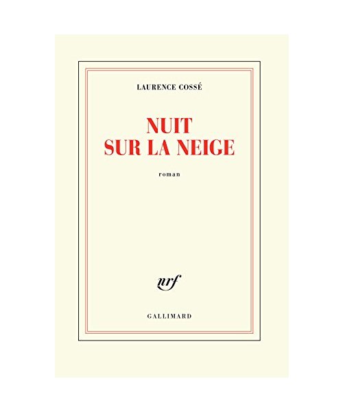 Nuit sur la neige