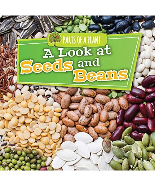 A Look at Seeds and Beans