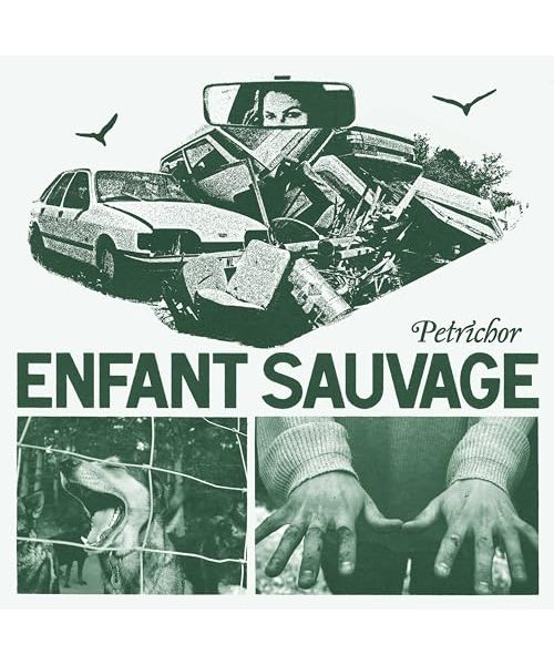 Petrichor (Black Vinyl) [Vinyl LP]