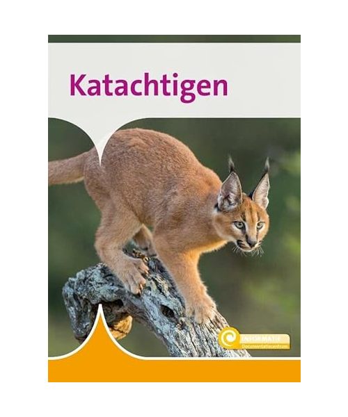 Katachtigen (Informatie, 168)