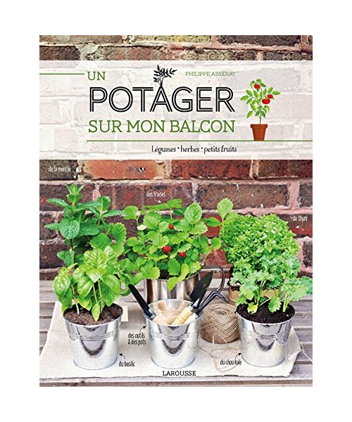 Un potager sur mon balcon