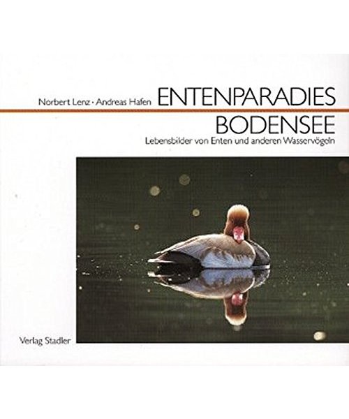 Entenparadies Bodensee