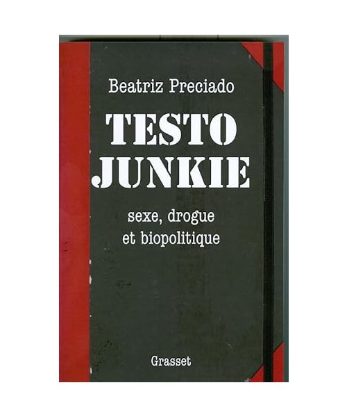 Testo junkie: Sexe, drogue et biopolitique