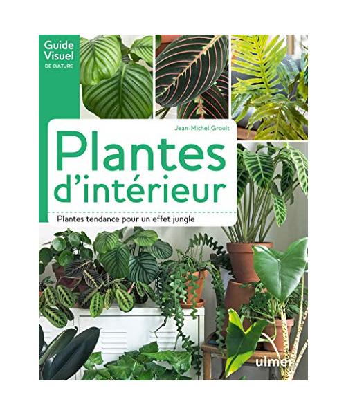Plantes d'intérieur: Plantes tendance pour un effet jungle