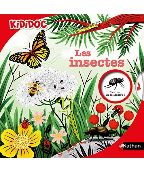Les Insectes (47)
