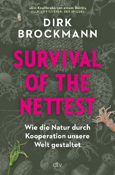 Survival of the Nettest