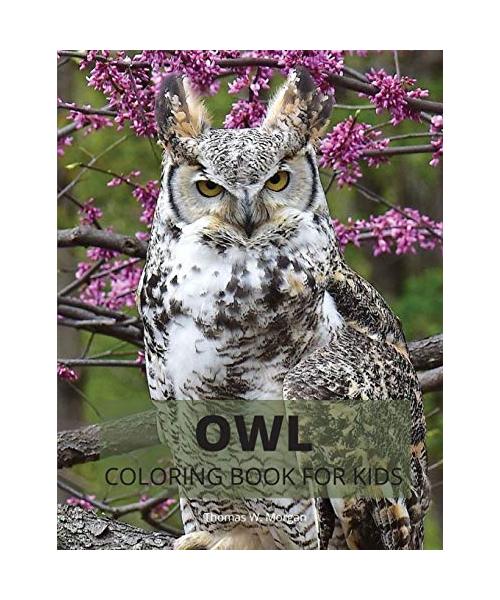 Owl Coloring Book for Kids: Cute Owl Designs to Color for Girls, Boys and Kids Ages 3-8 - Coloring and Acitivity Book for Kids Ages 3-8 with Adora