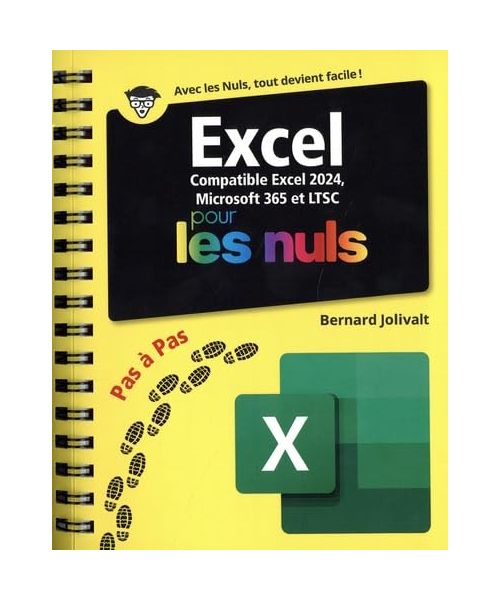 Excel 2024 Pas à Pas pour les Nuls: Compatible Excel 2024, Microsoft 365 et LTSC