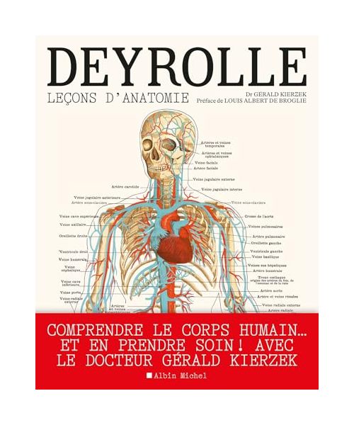 Deyrolle: Leçons d'anatomie