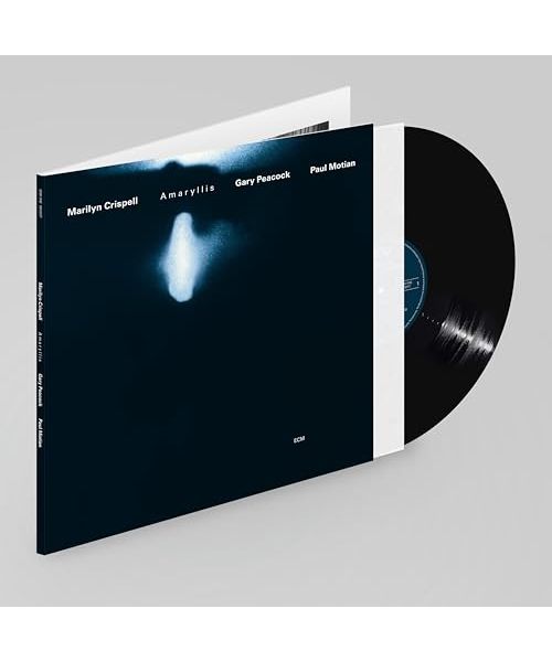 Amaryllis (Luminessence Series)