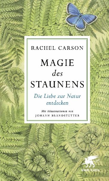 Magie des Staunens