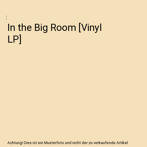 In the Big Room [Vinyl LP]