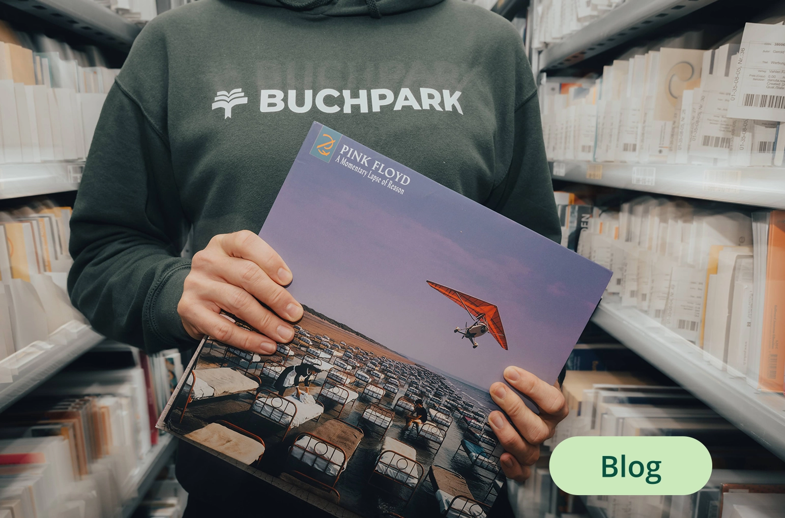 Vinyl erleben statt nur Musik streamen