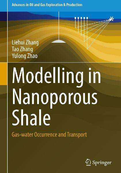 Modelling in Nanoporous Shale