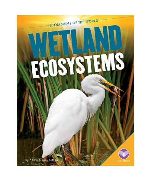 Wetland Ecosystems
