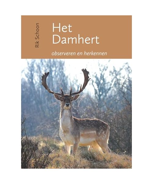 Het damhert: observeren en herkennen