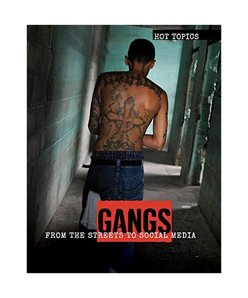 Gangs: From the Streets to Social Media (Hot Topics)
