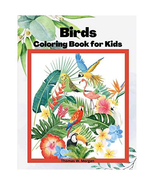 Birds Coloring Book for Kids: Children Coloring and Activity Book for Girls & Boys Ages 3-8 - 48 State Birds and Nature - Original Designs - Beautif
