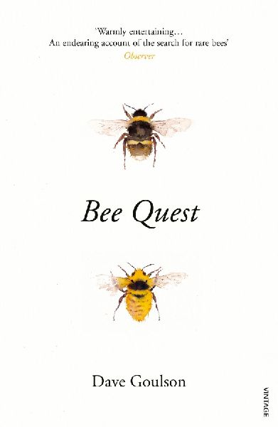 Bee Quest