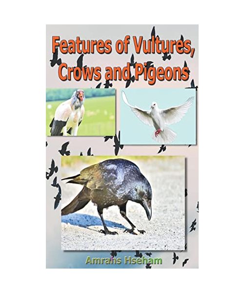 Features of Vultures, Crows and Pigeons