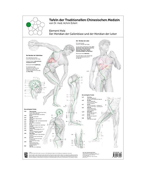 Tao Training Meridiantafel Holz Element