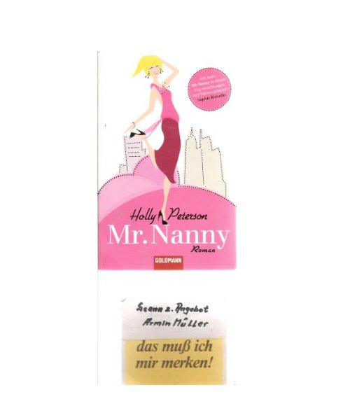 Mr. Nanny