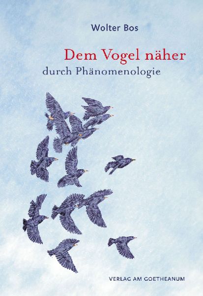 Dem Vogel näher - durch Phänomenologie