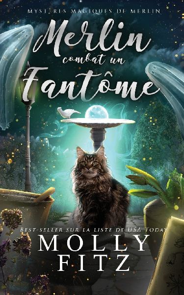 Merlin combat un fantôme