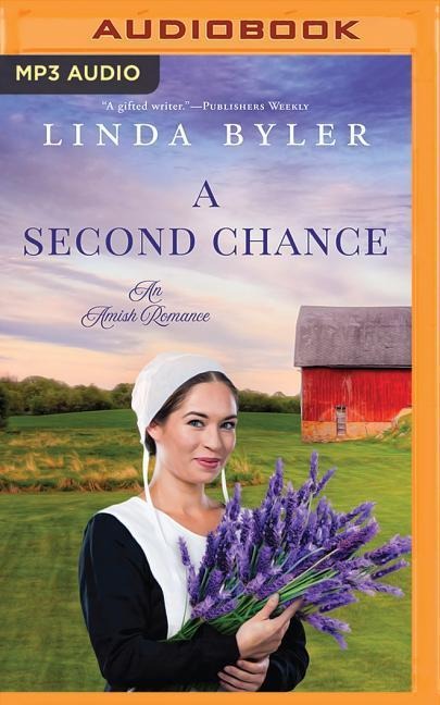 A Second Chance: An Amish Romance