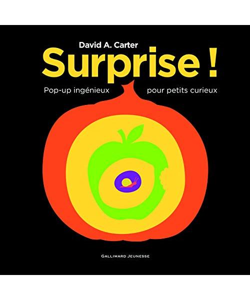 Surprise !: Pop-up ingénieux pour petits curieux