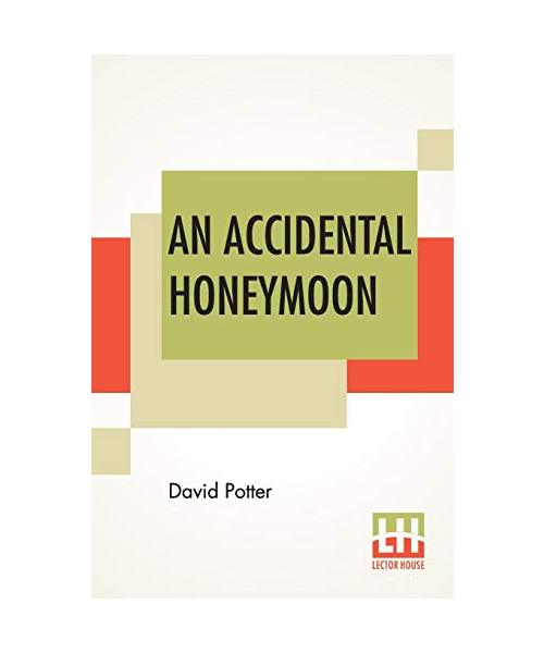 An Accidental Honeymoon