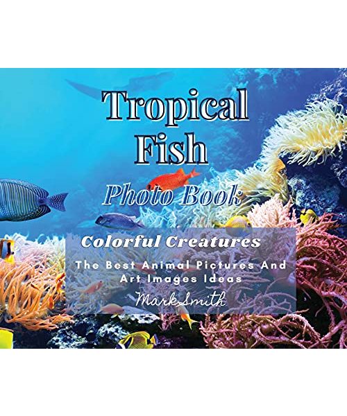 Tropical Fish. Photobook. Colorful Creatures: The Best Animal Pictures and Art Images Ideas