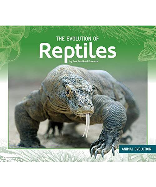 Evolution of Reptiles