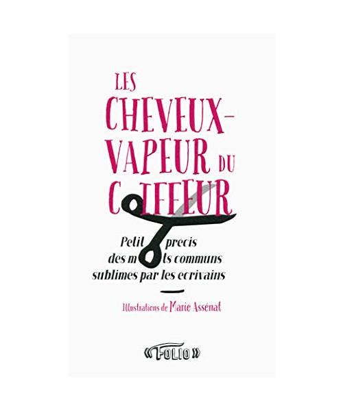 Les cheveux-vapeur du coiffeur: Petit précis des mots communs sublimés par les écrivains