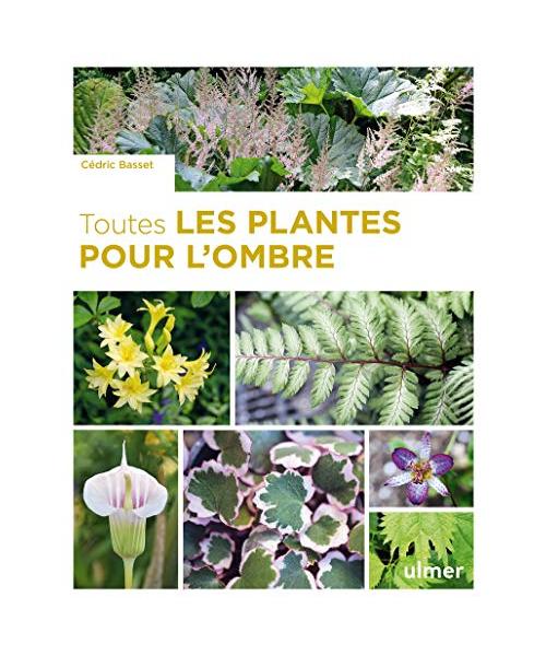 Toutes les plantes pour l'ombre