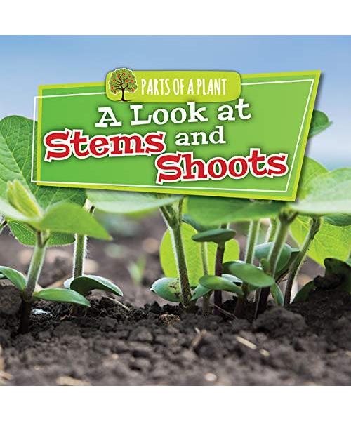A Look at Stems and Shoots