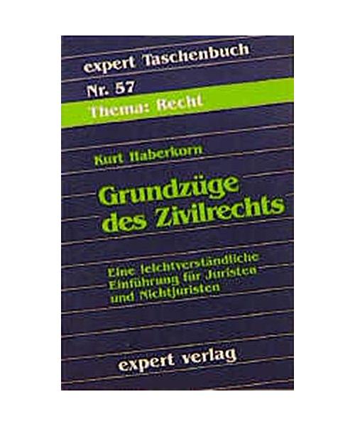 Grundzüge des Zivilrechts.: Eine leichtverständliche Einführung für Juristen und Nichtjuristen.