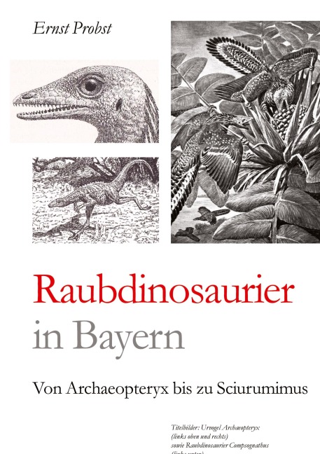 Raubdinosaurier in Bayern: Von Archaeopteryx bis zu Sciurumimus