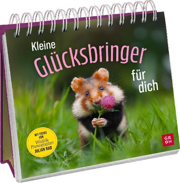 Kleine Glücksbringer für dich